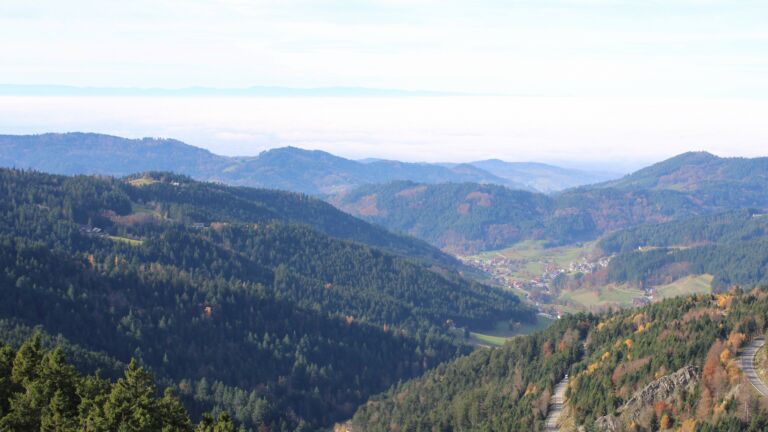 Dieses Bild zeigt eine Webcam-Aufnahme vom Achertal, aufgenommen am Donnerstag, den 06.11.2025 um 12:20 Uhr. Die Temperatur betrug 13.3°C.