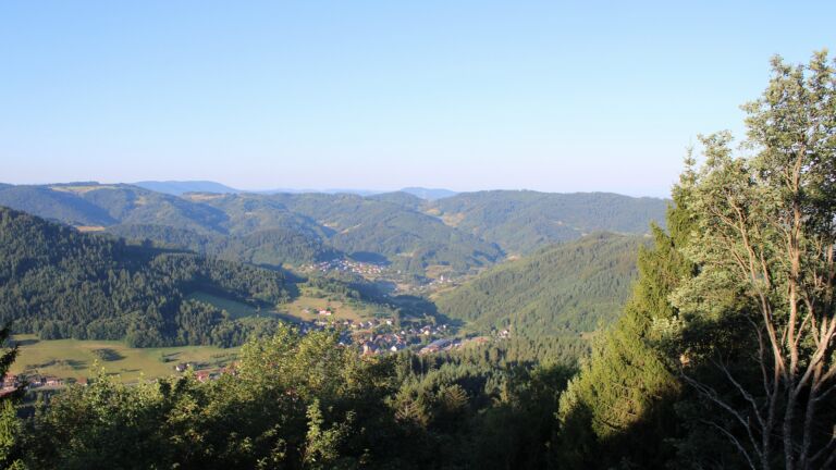 Dieses Bild zeigt eine Webcam-Aufnahme vom Achertal, aufgenommen am Freitag, den 24.07.2026 um 07:30 Uhr. Die Temperatur betrug 14°C.