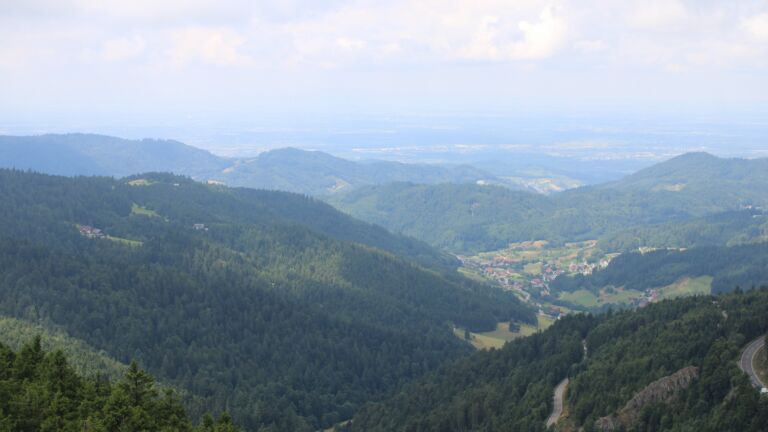 Dieses Bild zeigt eine Webcam-Aufnahme vom Achertal, aufgenommen am Donnerstag, den 17.07.2025 um 12:50 Uhr. Die Temperatur betrug 14.2°C.