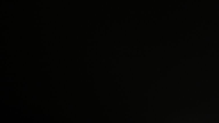 Dieses Bild zeigt eine Webcam-Aufnahme vom Achertal, aufgenommen am Freitag, den 24.10.2025 um 04:30 Uhr. Die Temperatur betrug 0.5°C.