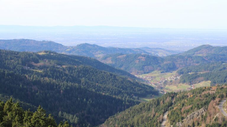 Dieses Bild zeigt eine Webcam-Aufnahme vom Achertal, aufgenommen am Donnerstag, den 13.11.2025 um 12:10 Uhr. Die Temperatur betrug 15.6°C.