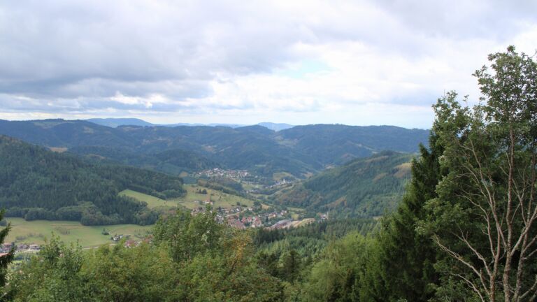 Dieses Bild zeigt eine Webcam-Aufnahme vom Achertal, aufgenommen am Montag, den 31.08.2026 um 11:40 Uhr. Die Temperatur betrug 15°C.