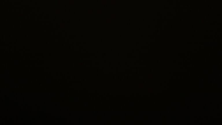 Dieses Bild zeigt eine Webcam-Aufnahme vom Achertal, aufgenommen am Freitag, den 28.11.2025 um 05:30 Uhr. Die Temperatur betrug 1.1°C.