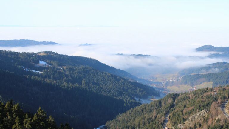 Dieses Bild zeigt eine Webcam-Aufnahme vom Achertal, aufgenommen am Montag, den 19.01.2026 um 11:40 Uhr. Die Temperatur betrug 8.8°C.