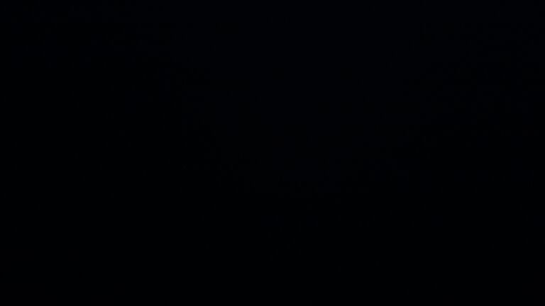 Dieses Bild zeigt eine Webcam-Aufnahme vom Achertal, aufgenommen am Montag, den 13.04.2026 um 21:30 Uhr. Die Temperatur betrug 3°C.