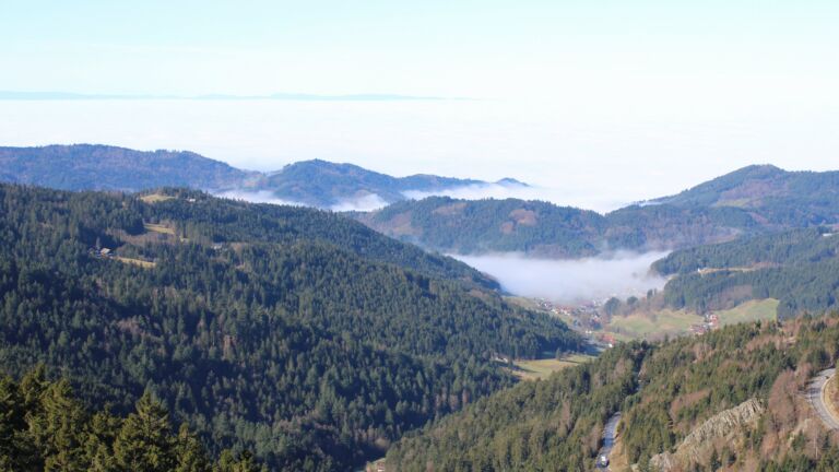 Dieses Bild zeigt eine Webcam-Aufnahme vom Achertal, aufgenommen am Mittwoch, den 25.02.2026 um 11:10 Uhr. Die Temperatur betrug 12.3°C.