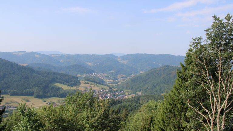 Dieses Bild zeigt eine Webcam-Aufnahme vom Achertal, aufgenommen am Freitag, den 31.07.2026 um 10:20 Uhr. Die Temperatur betrug 29.5°C.