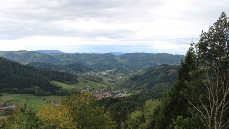 Dieses Bild zeigt eine Webcam-Aufnahme vom Achertal, aufgenommen am Freitag, den 23.10.2026 um 11:20 Uhr. Die Temperatur betrug 10.8°C.