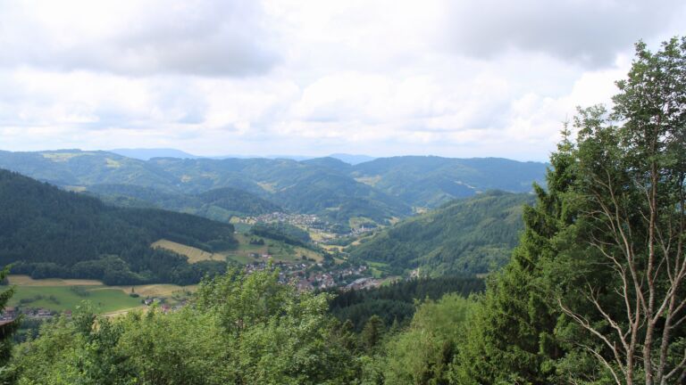 Dieses Bild zeigt eine Webcam-Aufnahme vom Achertal, aufgenommen am Montag, den 29.06.2026 um 12:30 Uhr. Die Temperatur betrug 23.1°C.