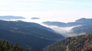 Dieses Bild zeigt eine Webcam-Aufnahme vom Achertal, aufgenommen am Freitag, den 07.11.2025 um 14:40 Uhr. Die Temperatur betrug 11.5°C.