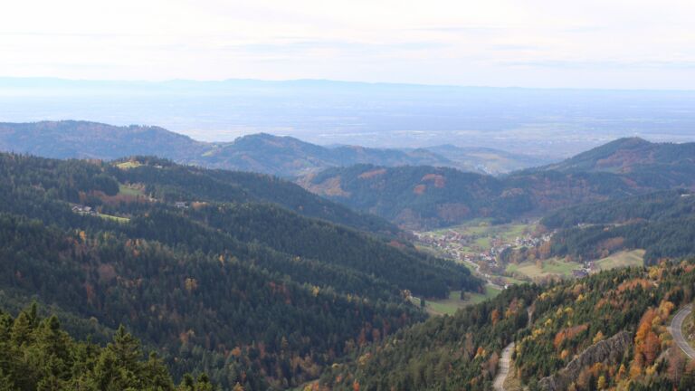 Dieses Bild zeigt eine Webcam-Aufnahme vom Achertal, aufgenommen am Mittwoch, den 29.10.2025 um 14:50 Uhr. Die Temperatur betrug 11.4°C.