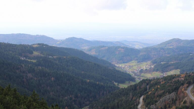 Dieses Bild zeigt eine Webcam-Aufnahme vom Achertal, aufgenommen am Dienstag, den 11.11.2025 um 13:20 Uhr. Die Temperatur betrug 7.4°C.