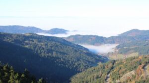 Dieses Bild zeigt eine Webcam-Aufnahme vom Achertal, aufgenommen am Samstag, den 08.11.2025 um 10:00 Uhr. Die Temperatur betrug 12.6°C.