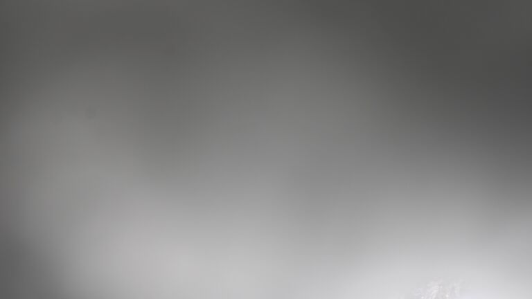 Dieses Bild zeigt eine Webcam-Aufnahme vom Achertal, aufgenommen am Mittwoch, den 07.01.2026 um 13:50 Uhr. Die Temperatur betrug -6°C.