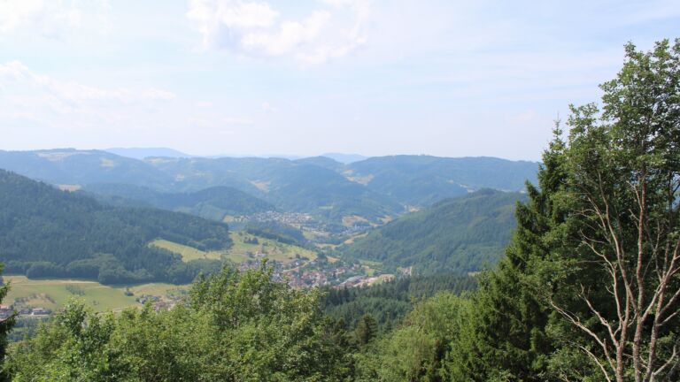 Dieses Bild zeigt eine Webcam-Aufnahme vom Achertal, aufgenommen am Donnerstag, den 16.07.2026 um 12:40 Uhr. Die Temperatur betrug 26.2°C.
