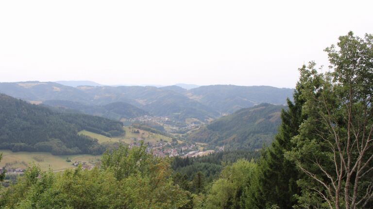 Dieses Bild zeigt eine Webcam-Aufnahme vom Achertal, aufgenommen am Donnerstag, den 27.08.2026 um 14:20 Uhr. Die Temperatur betrug 31.2°C.