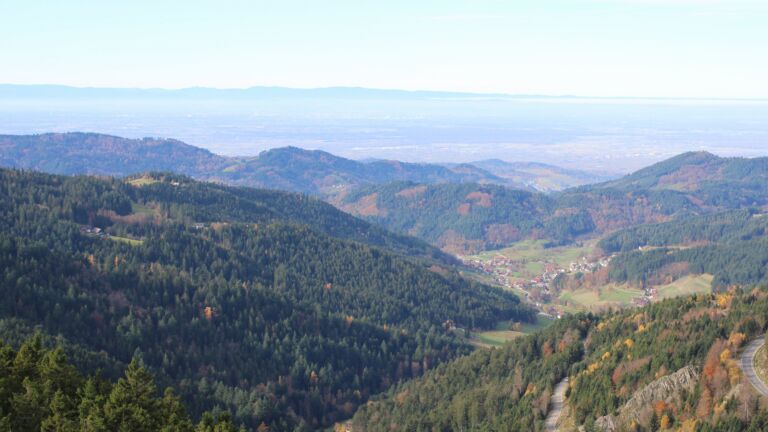 Dieses Bild zeigt eine Webcam-Aufnahme vom Achertal, aufgenommen am Mittwoch, den 05.11.2025 um 11:20 Uhr. Die Temperatur betrug 14.8°C.