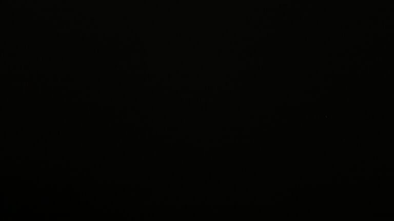 Dieses Bild zeigt eine Webcam-Aufnahme vom Achertal, aufgenommen am Freitag, den 09.01.2026 um 04:00 Uhr. Die Temperatur betrug 2.2°C.