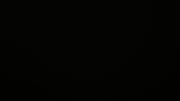 Dieses Bild zeigt eine Webcam-Aufnahme vom Achertal, aufgenommen am Mittwoch, den 26.11.2025 um 04:00 Uhr. Die Temperatur betrug -0.6°C.