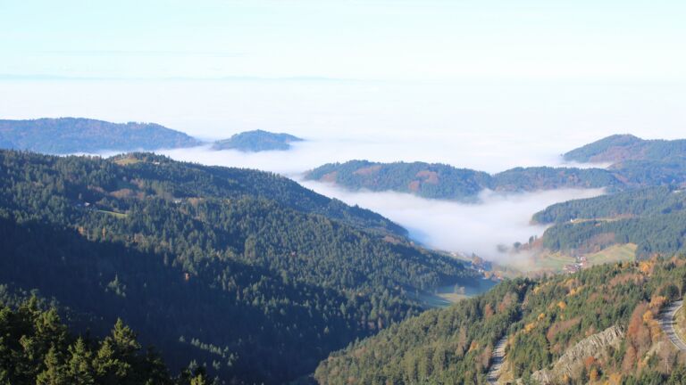 Dieses Bild zeigt eine Webcam-Aufnahme vom Achertal, aufgenommen am Samstag, den 08.11.2025 um 10:40 Uhr. Die Temperatur betrug 11.6°C.