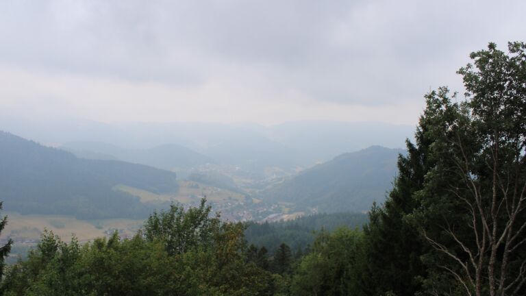 Dieses Bild zeigt eine Webcam-Aufnahme vom Achertal, aufgenommen am Montag, den 17.08.2026 um 11:40 Uhr. Die Temperatur betrug 16.9°C.