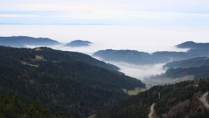 Dieses Bild zeigt eine Webcam-Aufnahme vom Achertal, aufgenommen am Dienstag, den 16.12.2025 um 14:00 Uhr. Die Temperatur betrug 11.6°C.