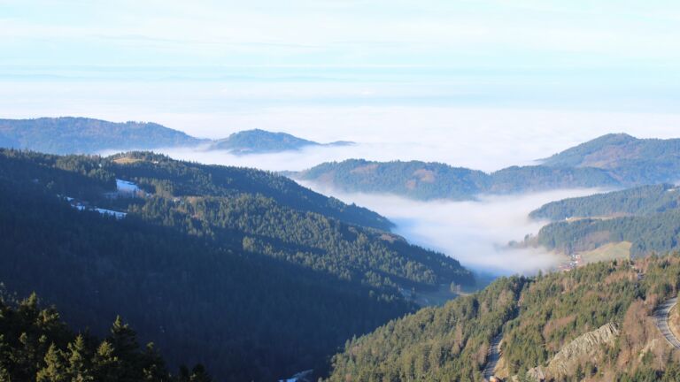 Dieses Bild zeigt eine Webcam-Aufnahme vom Achertal, aufgenommen am Freitag, den 23.01.2026 um 10:50 Uhr. Die Temperatur betrug 5.9°C.