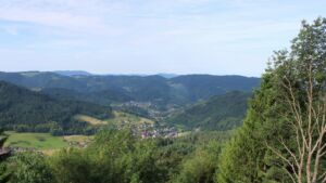 Dieses Bild zeigt eine Webcam-Aufnahme vom Achertal, aufgenommen am Mittwoch, den 17.06.2026 um 08:50 Uhr. Die Temperatur betrug 23.6°C.