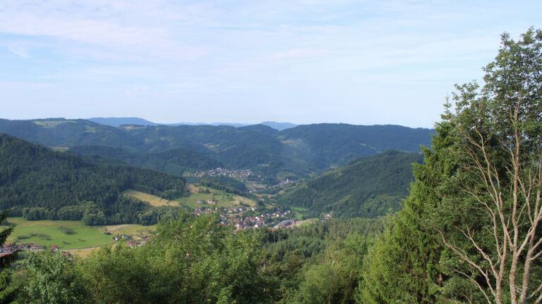 Dieses Bild zeigt eine Webcam-Aufnahme vom Achertal, aufgenommen am Mittwoch, den 17.06.2026 um 08:50 Uhr. Die Temperatur betrug 23.6°C.