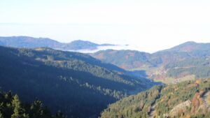 Dieses Bild zeigt eine Webcam-Aufnahme vom Achertal, aufgenommen am Samstag, den 08.11.2025 um 09:30 Uhr. Die Temperatur betrug 11.7°C.