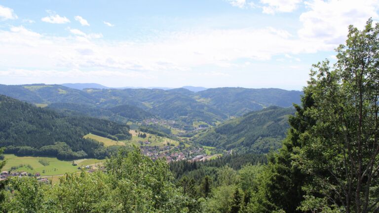 Dieses Bild zeigt eine Webcam-Aufnahme vom Achertal, aufgenommen am Samstag, den 13.06.2026 um 14:50 Uhr. Die Temperatur betrug 24.5°C.