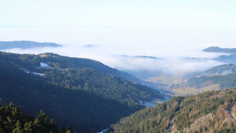 Dieses Bild zeigt eine Webcam-Aufnahme vom Achertal, aufgenommen am Montag, den 19.01.2026 um 11:20 Uhr. Die Temperatur betrug 8.2°C.