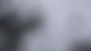 Dieses Bild zeigt eine Webcam-Aufnahme vom Achertal, aufgenommen am Donnerstag, den 20.11.2025 um 10:40 Uhr. Die Temperatur betrug -3.6°C.