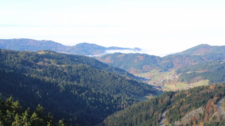 Dieses Bild zeigt eine Webcam-Aufnahme vom Achertal, aufgenommen am Freitag, den 07.11.2025 um 10:20 Uhr. Die Temperatur betrug 11.3°C.