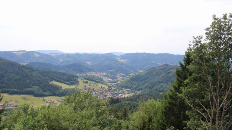 Dieses Bild zeigt eine Webcam-Aufnahme vom Achertal, aufgenommen am Dienstag, den 14.07.2026 um 14:40 Uhr. Die Temperatur betrug 29.2°C.