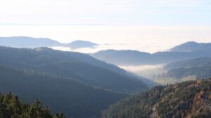 Dieses Bild zeigt eine Webcam-Aufnahme vom Achertal, aufgenommen am Freitag, den 07.11.2025 um 15:20 Uhr. Die Temperatur betrug 11.8°C.