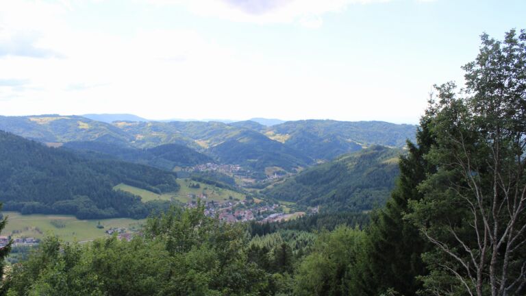 Dieses Bild zeigt eine Webcam-Aufnahme vom Achertal, aufgenommen am Dienstag, den 21.07.2026 um 14:20 Uhr. Die Temperatur betrug 20.5°C.