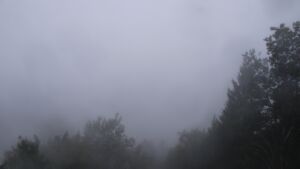 Dieses Bild zeigt eine Webcam-Aufnahme vom Achertal, aufgenommen am Donnerstag, den 08.10.2026 um 18:20 Uhr. Die Temperatur betrug 8.8°C.