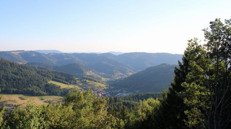 Dieses Bild zeigt eine Webcam-Aufnahme vom Achertal, aufgenommen am Mittwoch, den 12.08.2026 um 19:20 Uhr. Die Temperatur betrug 29°C.