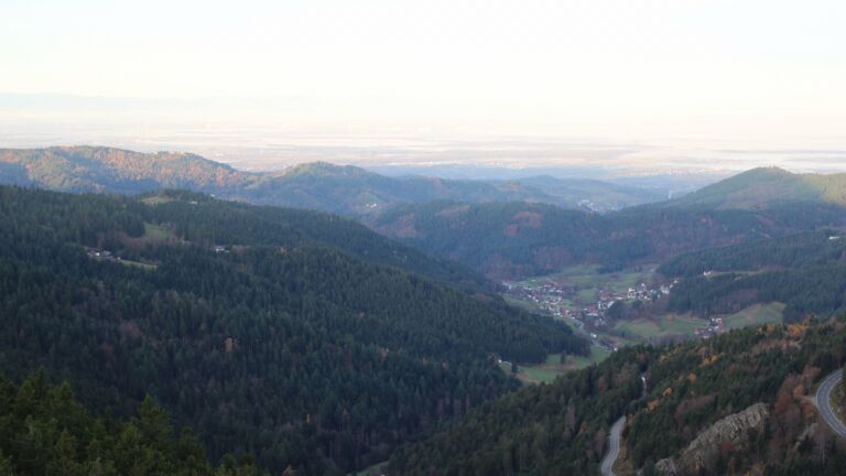 Dieses Bild zeigt eine Webcam-Aufnahme vom Achertal, aufgenommen am Mittwoch, den 12.11.2025 um 08:00 Uhr. Die Temperatur betrug 11.5°C.