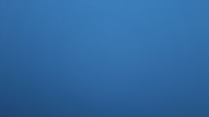 Dieses Bild zeigt eine Webcam-Aufnahme vom Achertal, aufgenommen am Dienstag, den 23.12.2025 um 08:00 Uhr. Die Temperatur betrug -4.4°C.