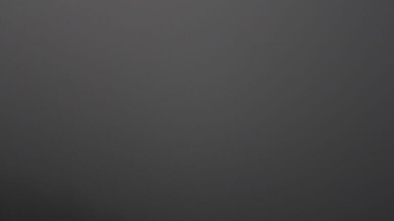 Dieses Bild zeigt eine Webcam-Aufnahme vom Achertal, aufgenommen am Dienstag, den 24.02.2026 um 21:00 Uhr. Die Temperatur betrug 5.9°C.