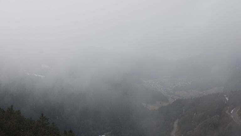 Dieses Bild zeigt eine Webcam-Aufnahme vom Achertal, aufgenommen am Sonntag, den 01.02.2026 um 14:50 Uhr. Die Temperatur betrug 4.4°C.