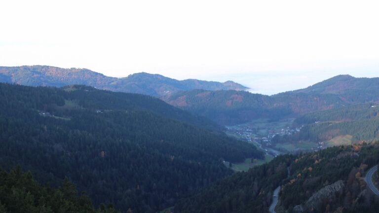 Dieses Bild zeigt eine Webcam-Aufnahme vom Achertal, aufgenommen am Freitag, den 07.11.2025 um 08:30 Uhr. Die Temperatur betrug 8.8°C.