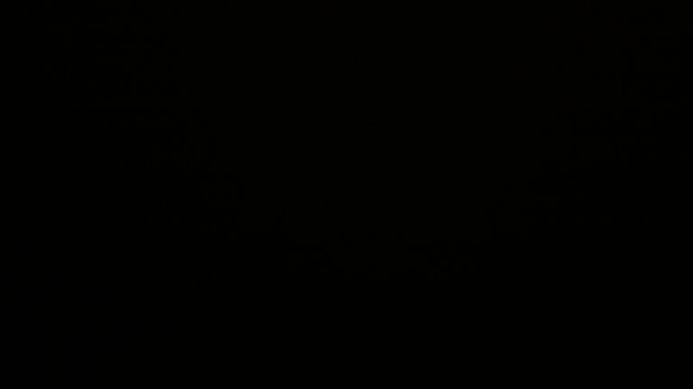 Dieses Bild zeigt eine Webcam-Aufnahme vom Achertal, aufgenommen am Mittwoch, den 24.09.2025 um 01:00 Uhr. Die Temperatur betrug 5.4°C.