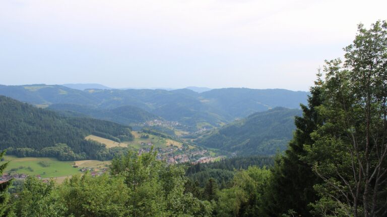 Dieses Bild zeigt eine Webcam-Aufnahme vom Achertal, aufgenommen am Freitag, den 19.06.2026 um 18:50 Uhr. Die Temperatur betrug 34.6°C.