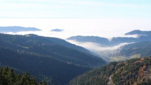 Dieses Bild zeigt eine Webcam-Aufnahme vom Achertal, aufgenommen am Freitag, den 07.11.2025 um 14:30 Uhr. Die Temperatur betrug 11.6°C.