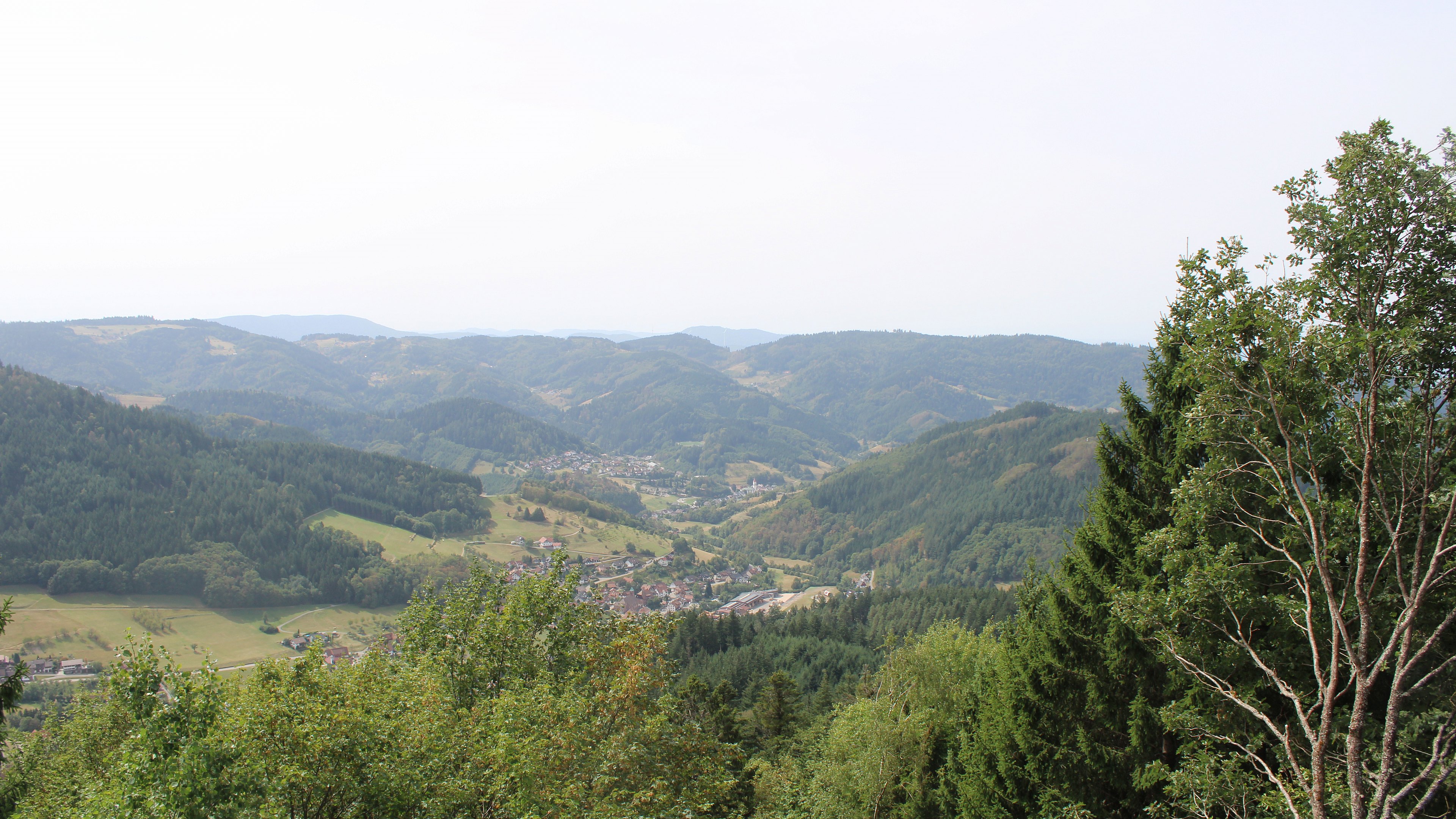 Zum Fotoarchiv vom Donnerstag, 27. August 2026