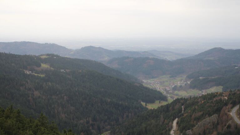 Dieses Bild zeigt eine Webcam-Aufnahme vom Achertal, aufgenommen am Samstag, den 15.11.2025 um 11:20 Uhr. Die Temperatur betrug 11.7°C.