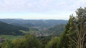 Dieses Bild zeigt eine Webcam-Aufnahme vom Achertal, aufgenommen am Dienstag, den 22.09.2026 um 08:30 Uhr. Die Temperatur betrug 11°C.